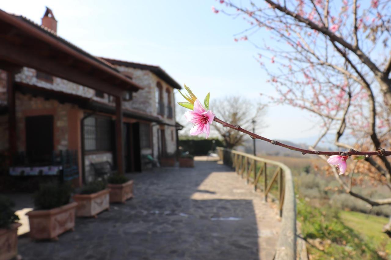 B&B Casale Roshlee Gualdo Cattaneo 外观 照片